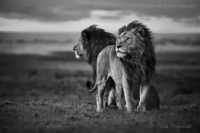 Before the Storm_BW