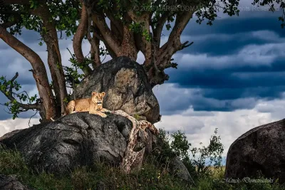 Guardian of the Rocks