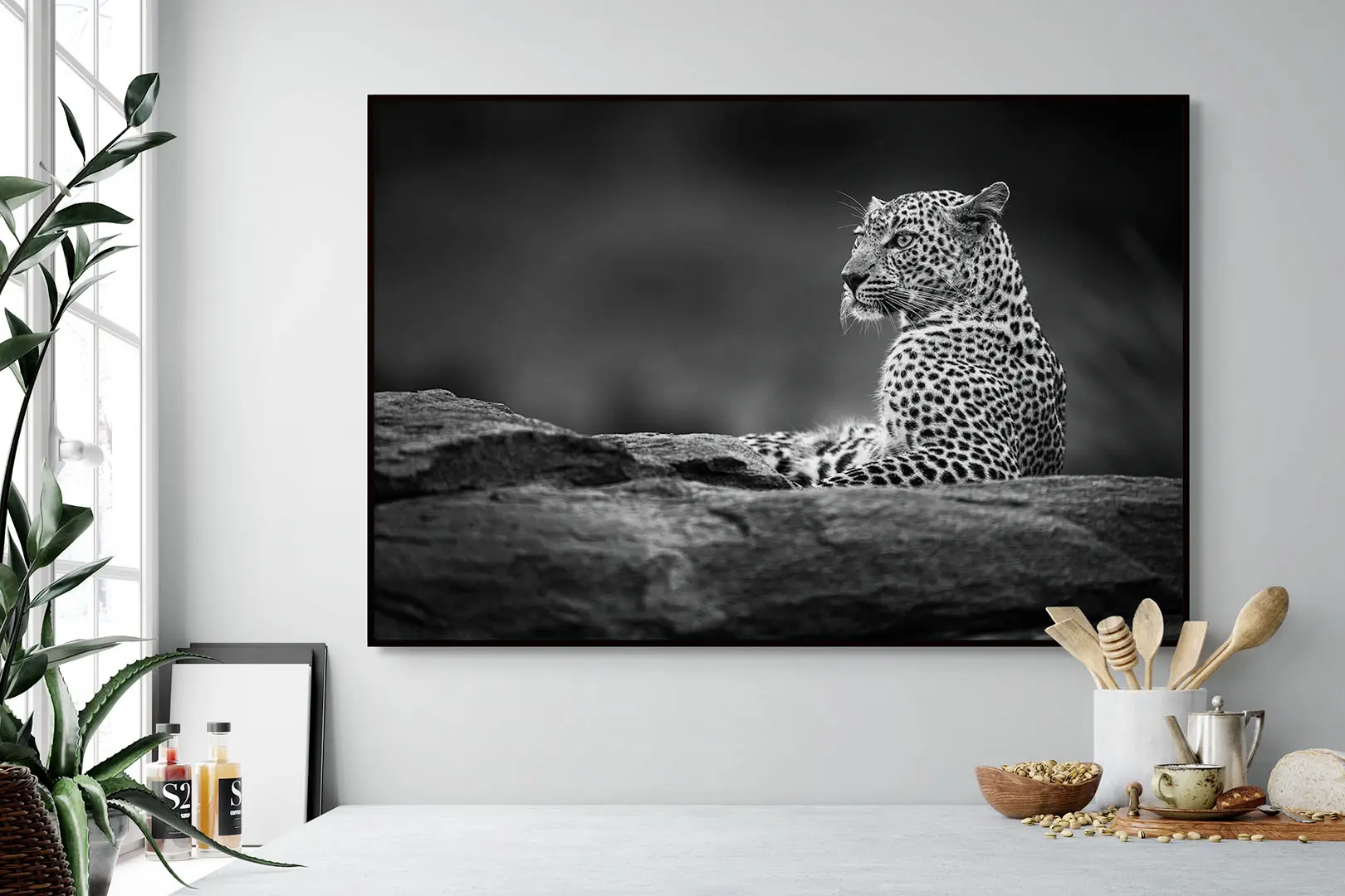 Beauty on the Rock_BW - Image 4