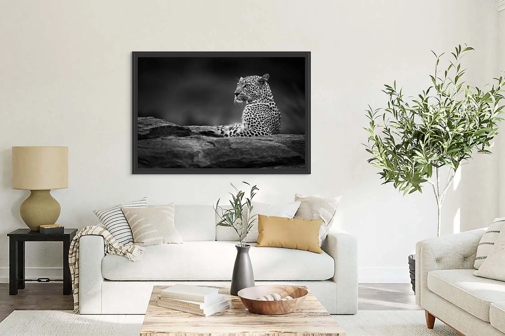 Beauty on the Rock_BW - Image 5