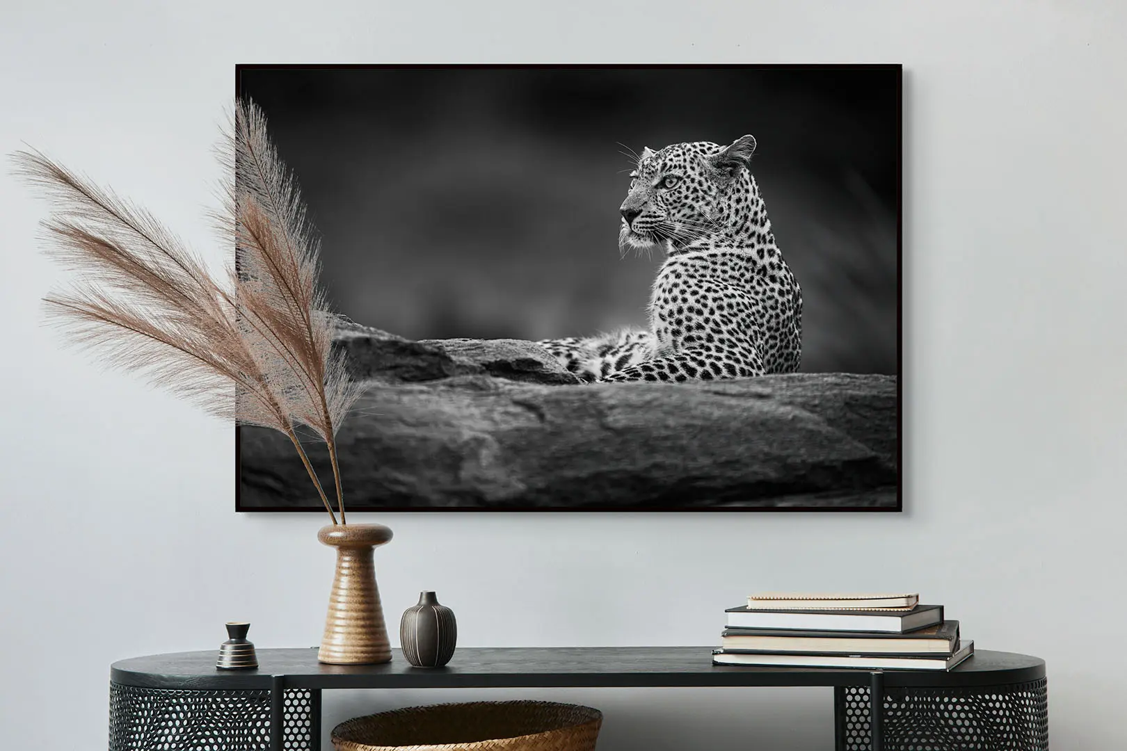 Beauty on the Rock_BW - Image 8