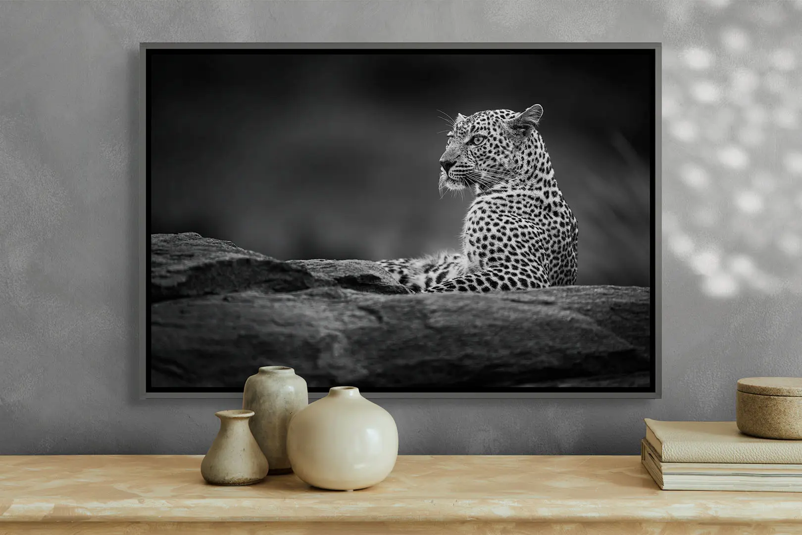 Beauty on the Rock_BW - Image 3