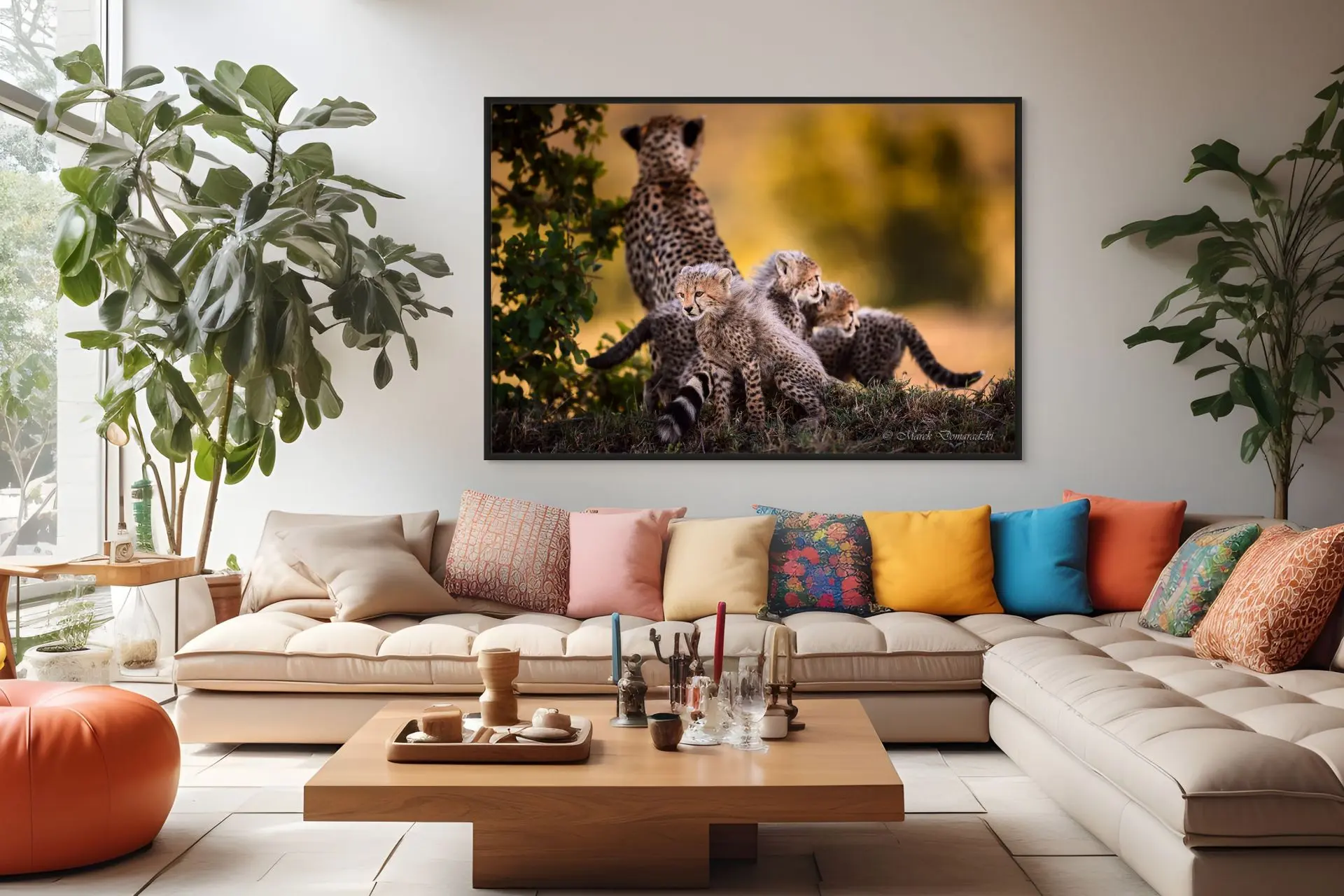 Cheetah Family - Image 7
