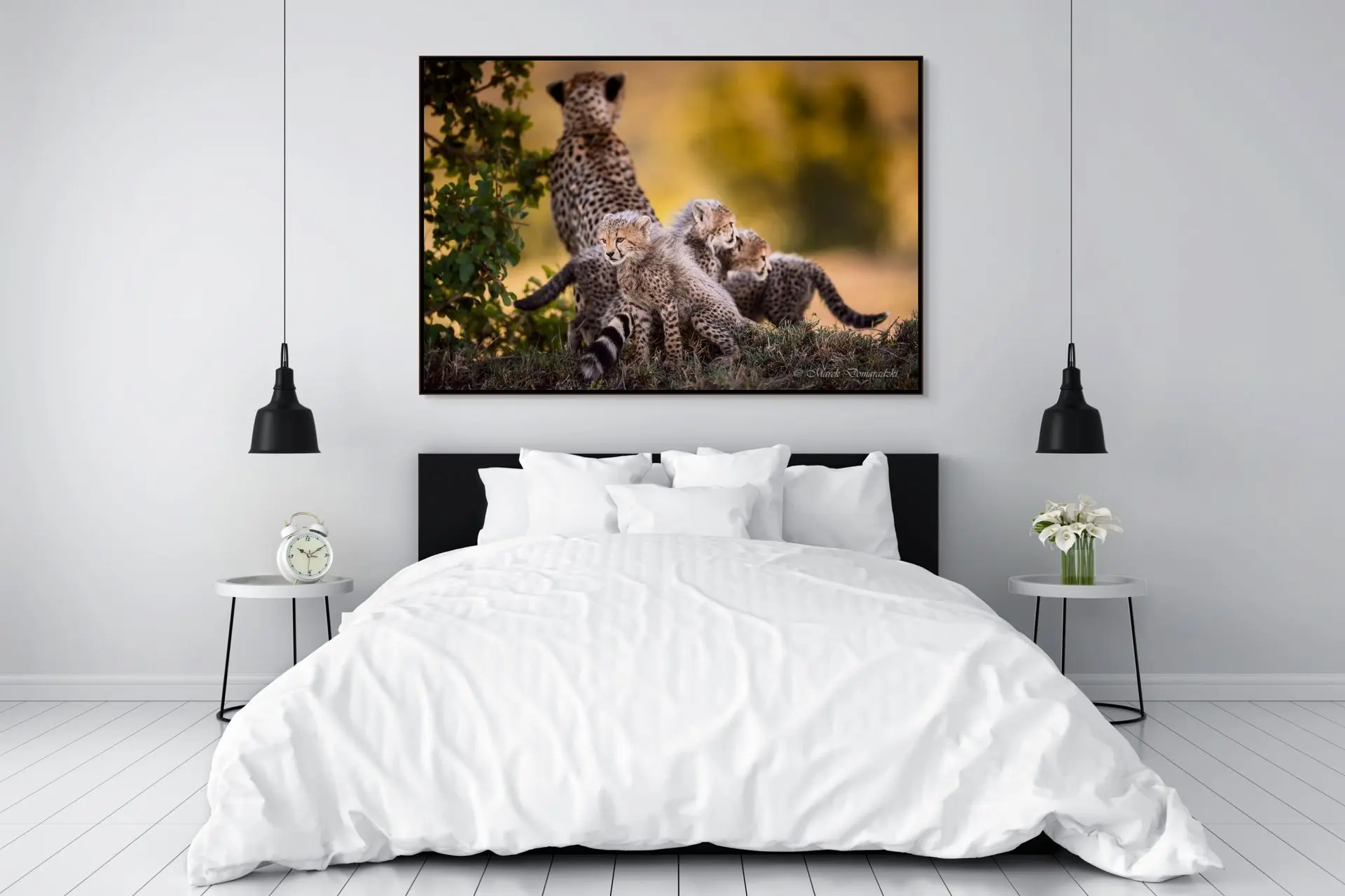 Cheetah Family - Image 5