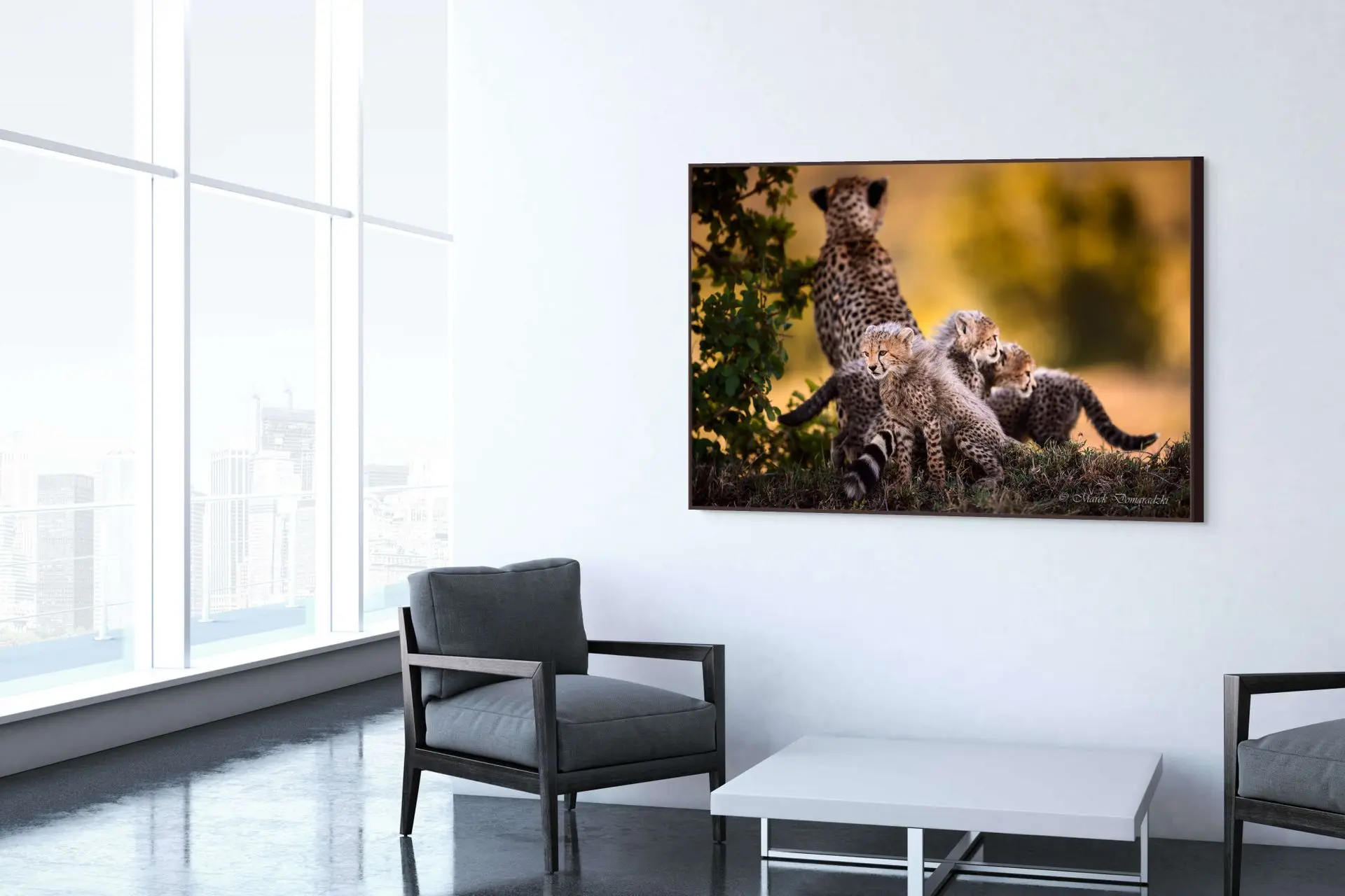 Cheetah Family - Image 2