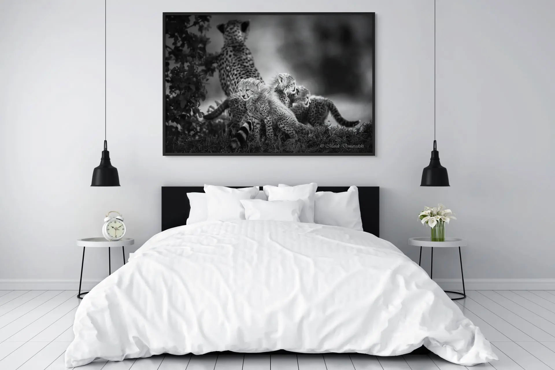 Cheetah Family_BW - Image 6