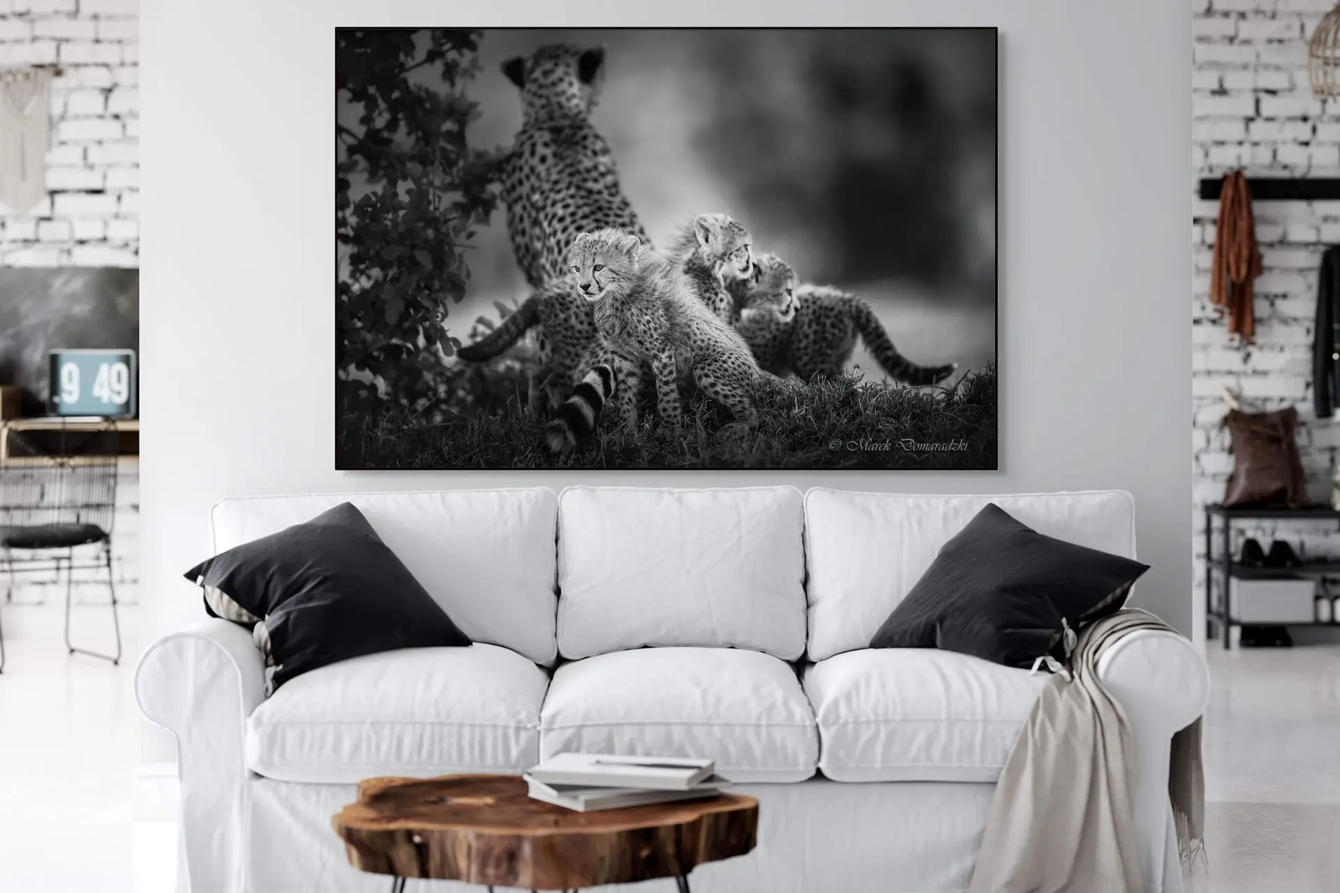 Cheetah Family_BW - Image 2