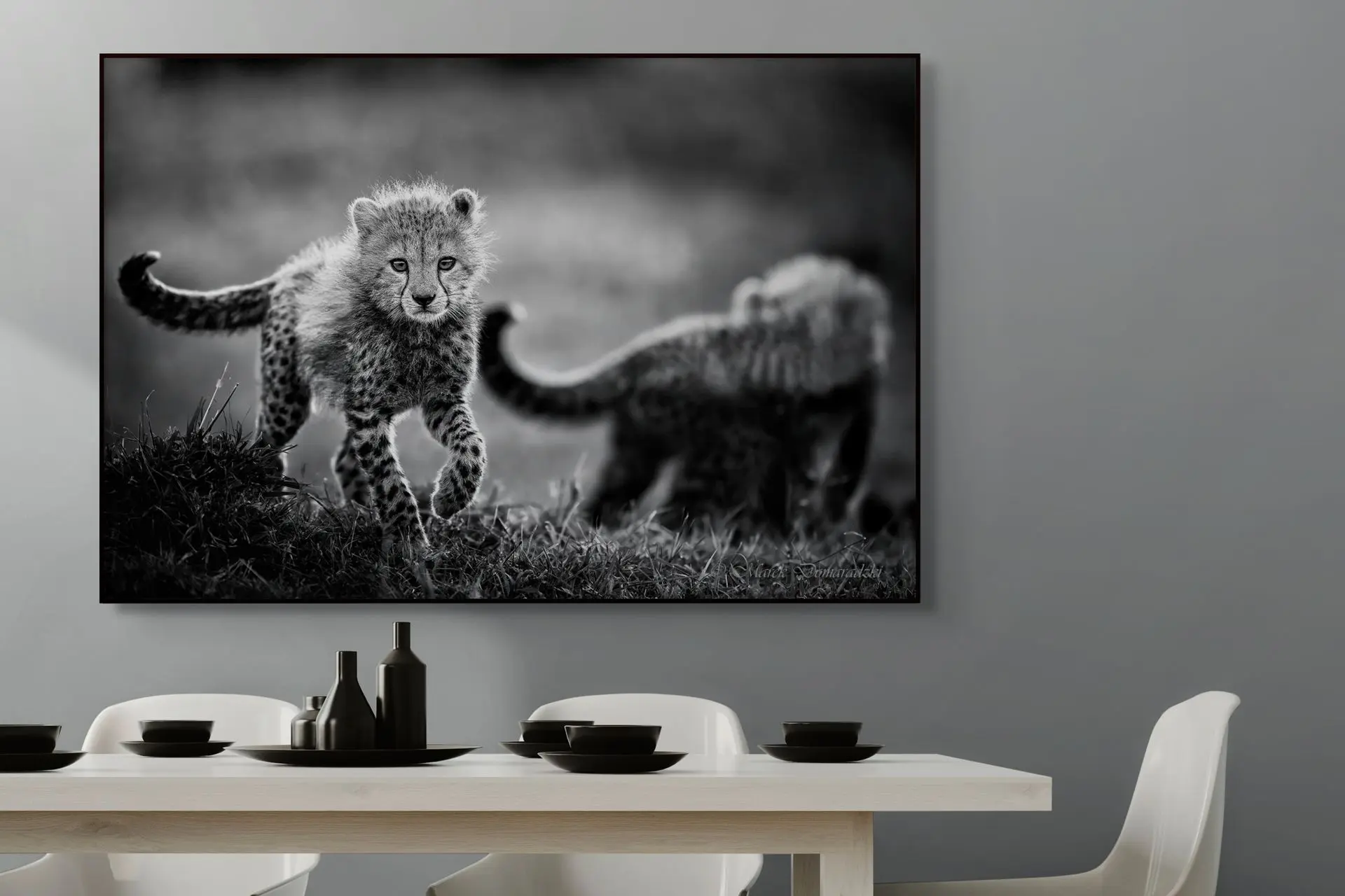 Curious Cheetah Cub_BW - Image 7