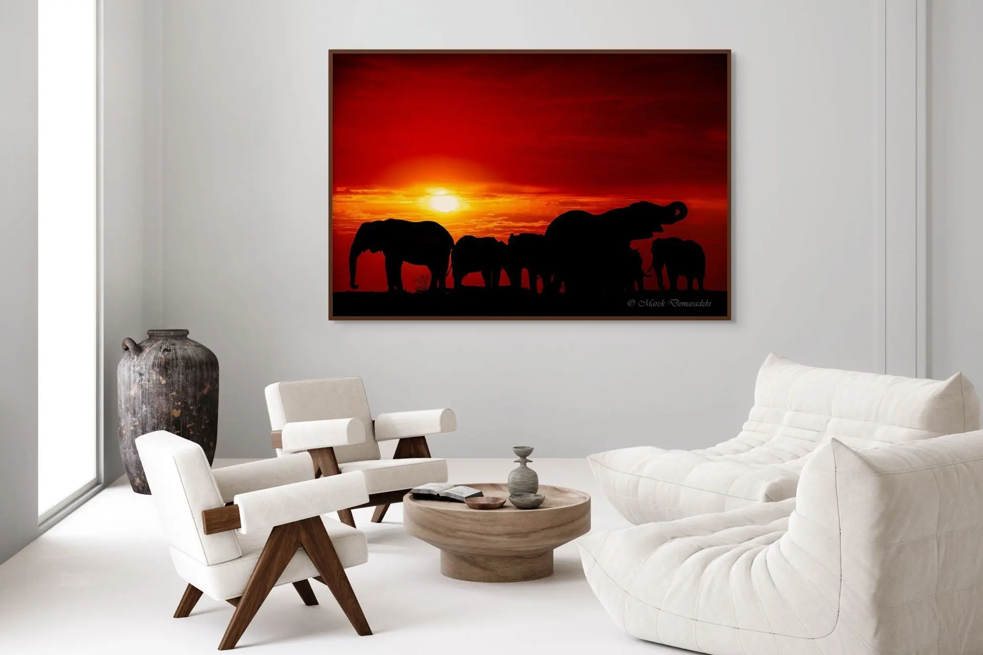 Elephants at a Waterhole - Image 5