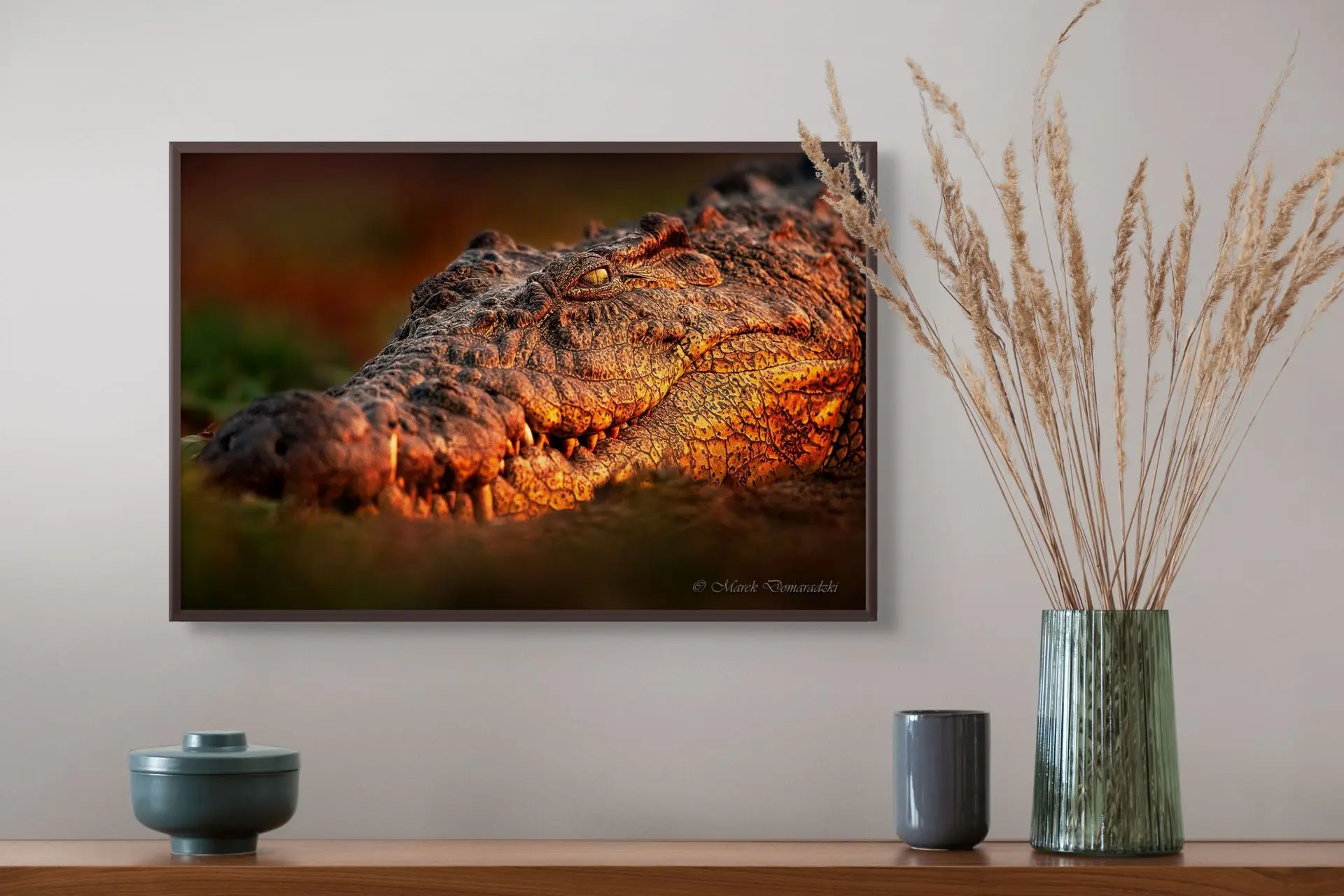 Eye to Eye With a Crocodile - Image 8