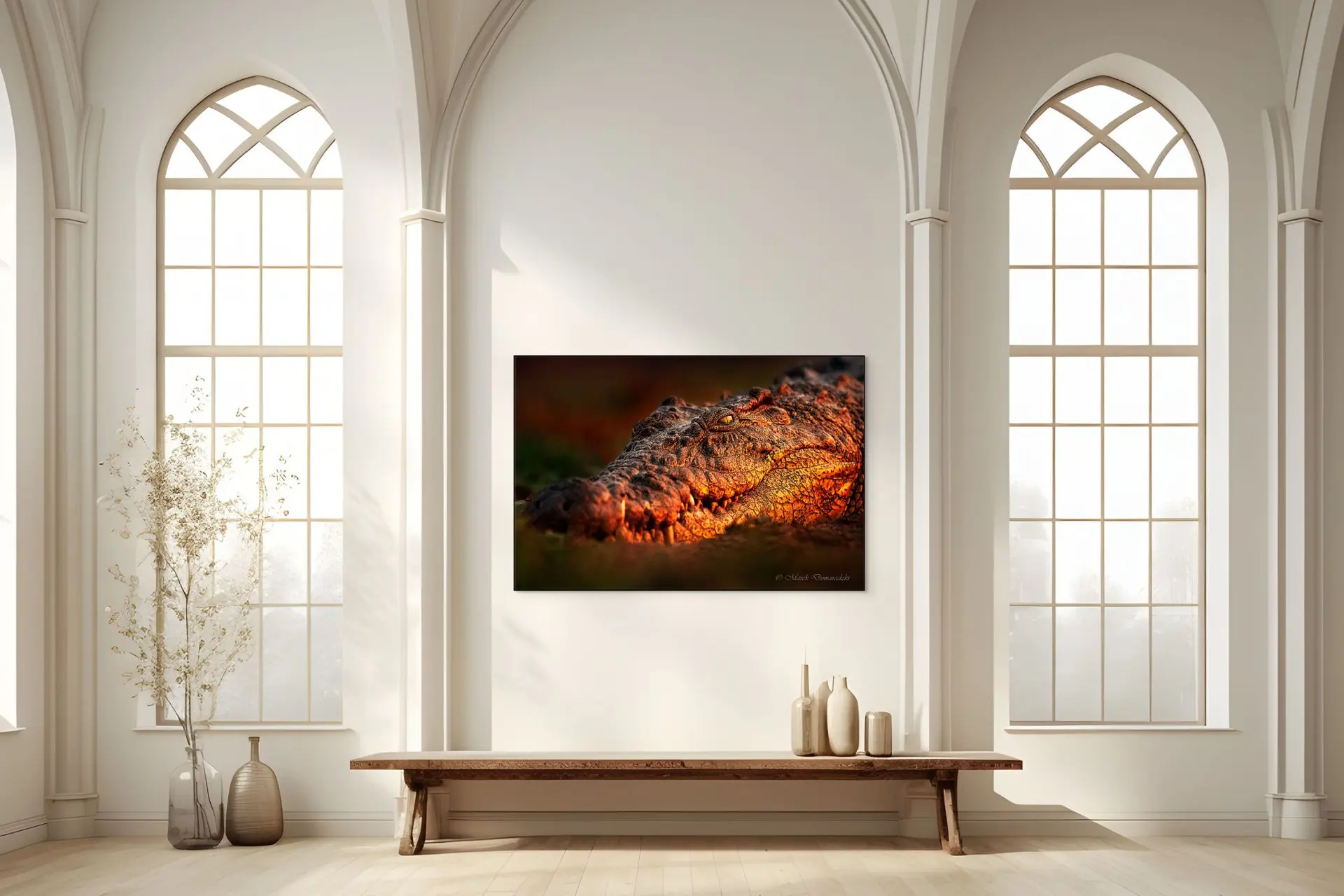 Eye to Eye With a Crocodile - Image 6