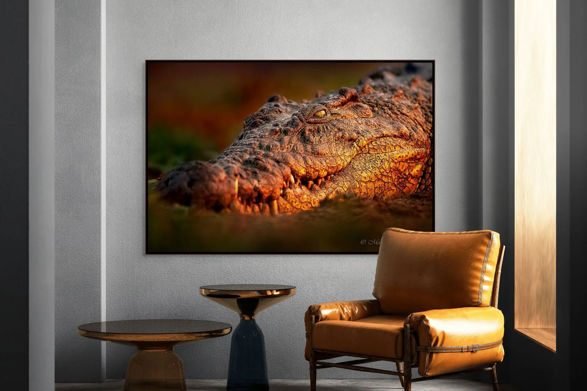 Eye to Eye With a Crocodile - Image 5