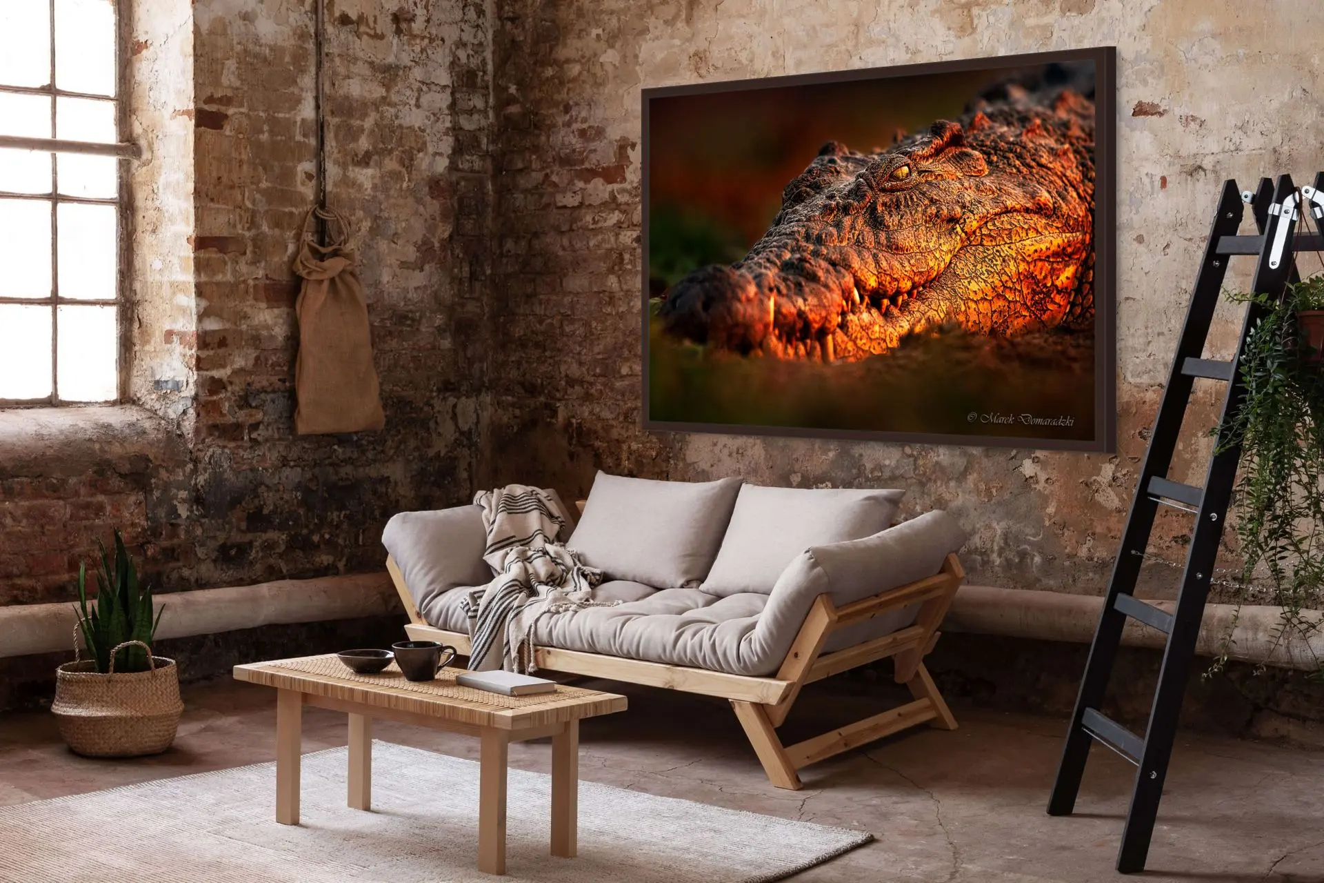 Eye to Eye With a Crocodile - Image 4