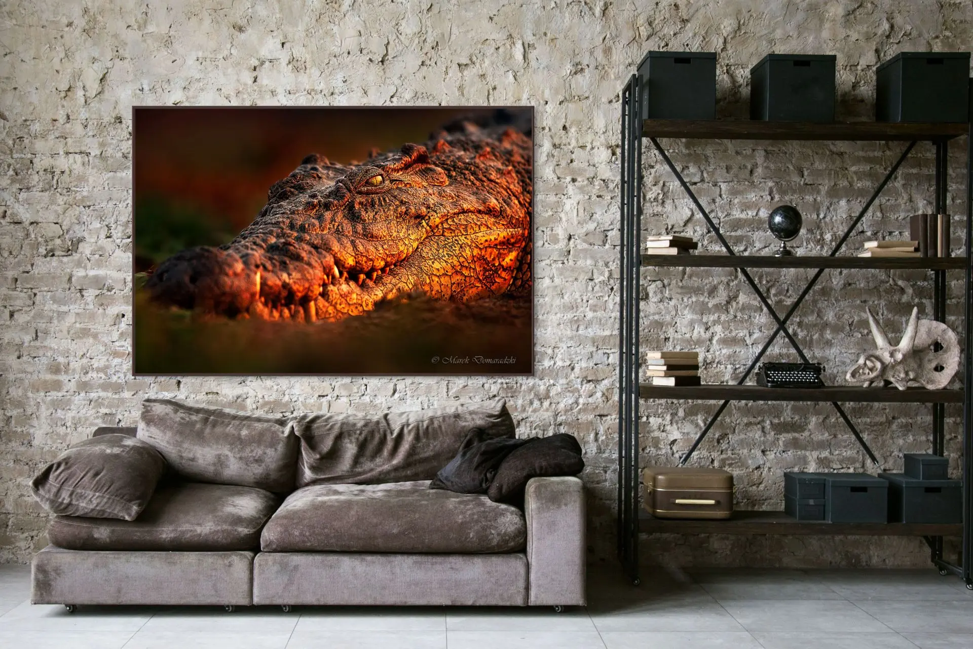Eye to Eye With a Crocodile - Image 3