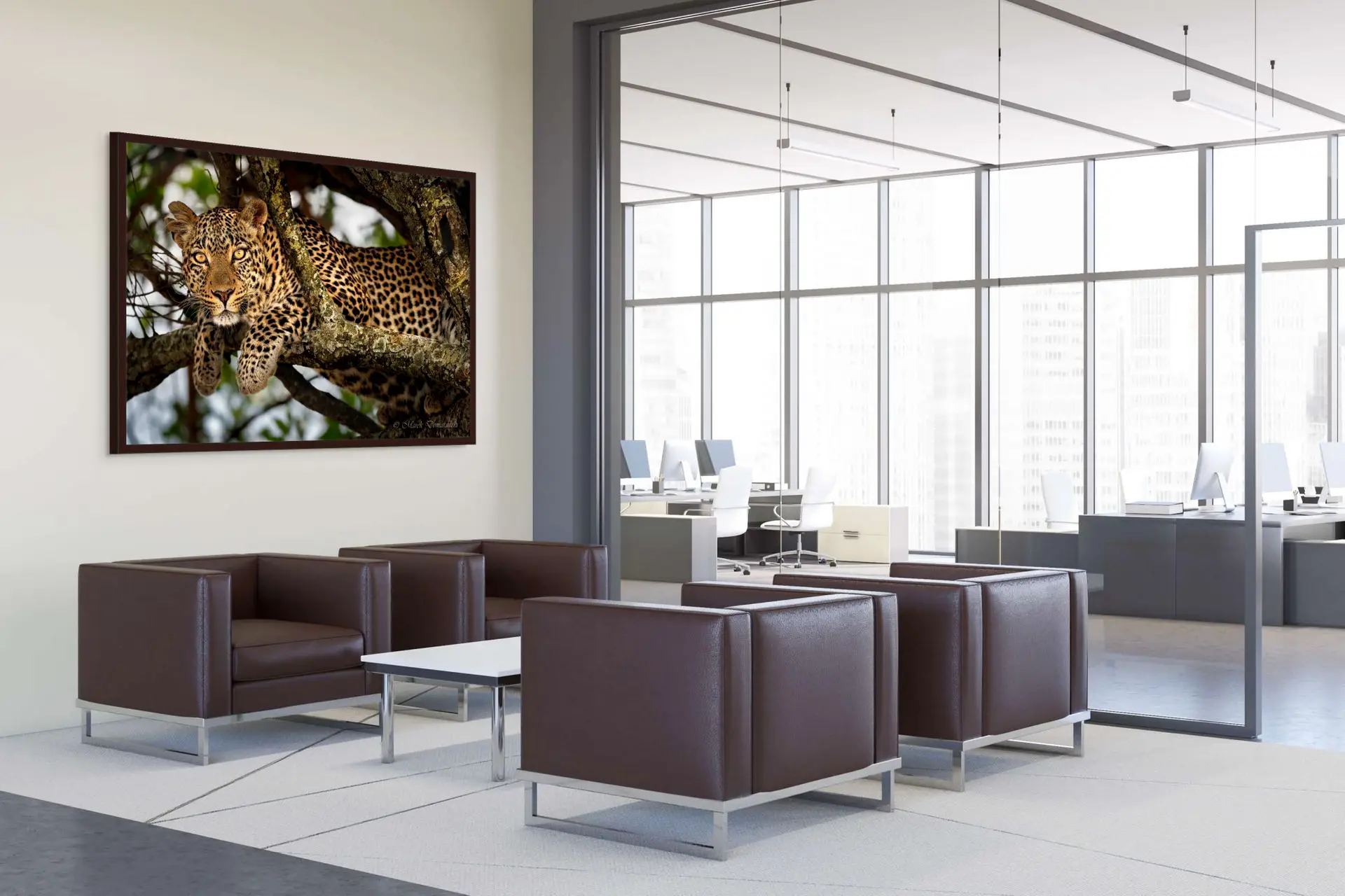 Fig the Leopard - Image 7