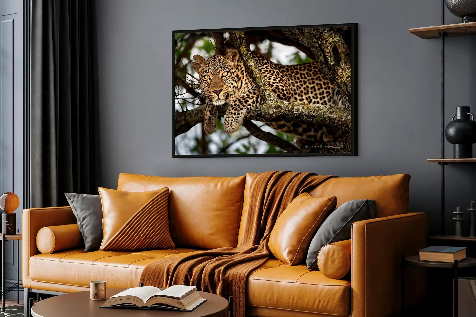 Fig the Leopard - Image 6