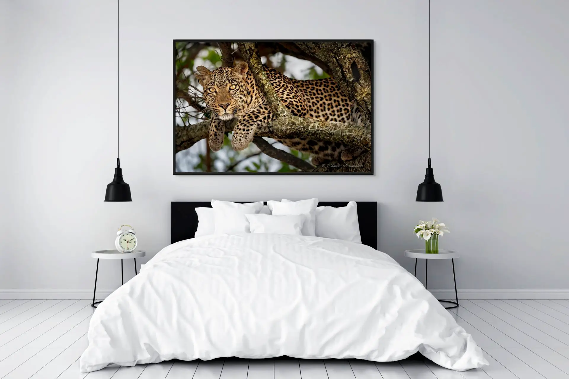 Fig the Leopard - Image 5