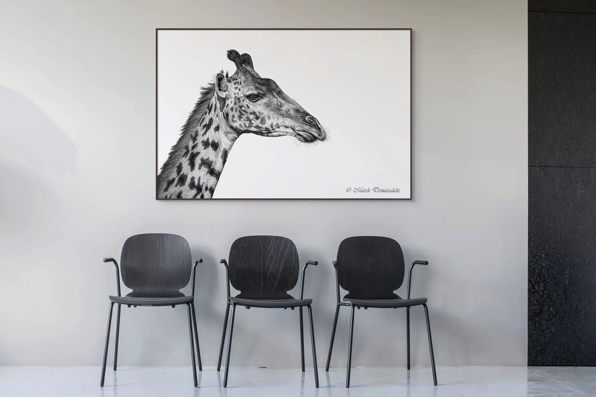 Giraffe Portrait - Image 6