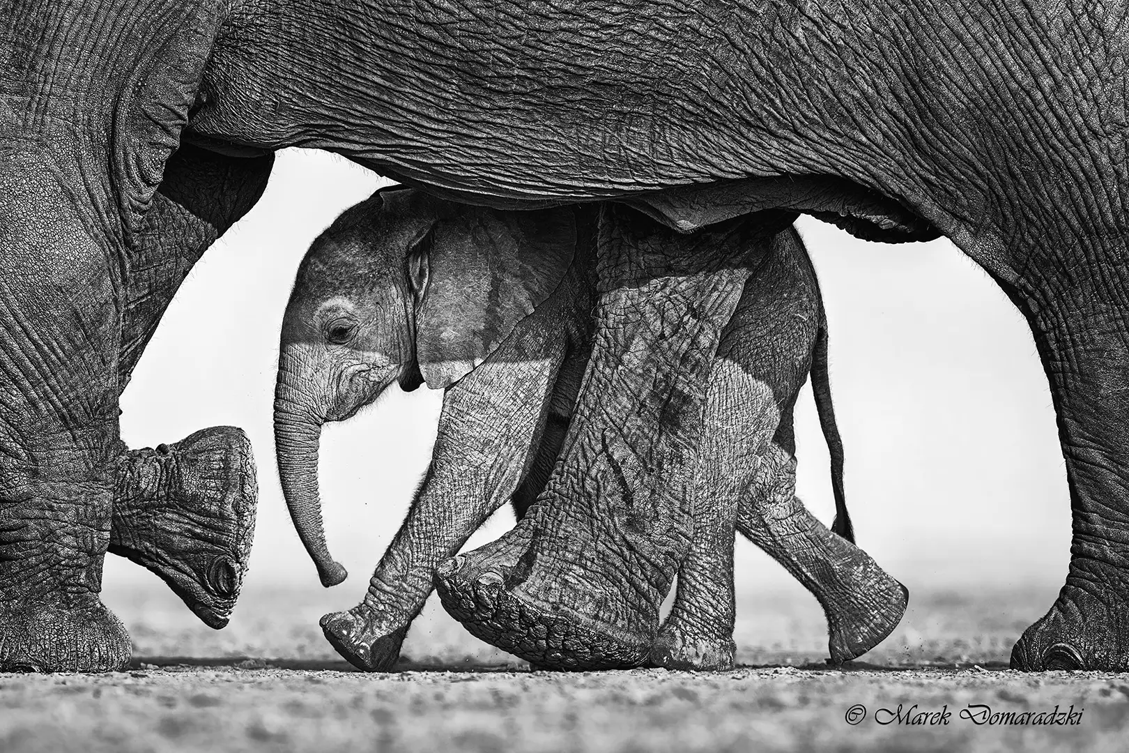 Mother's Shelter