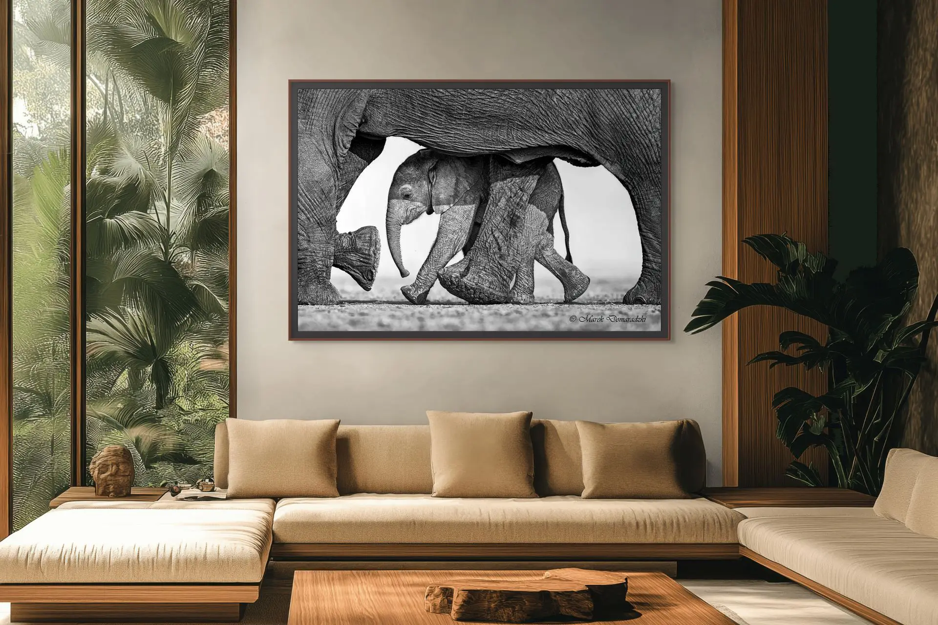 Mother's Shelter - Image 4