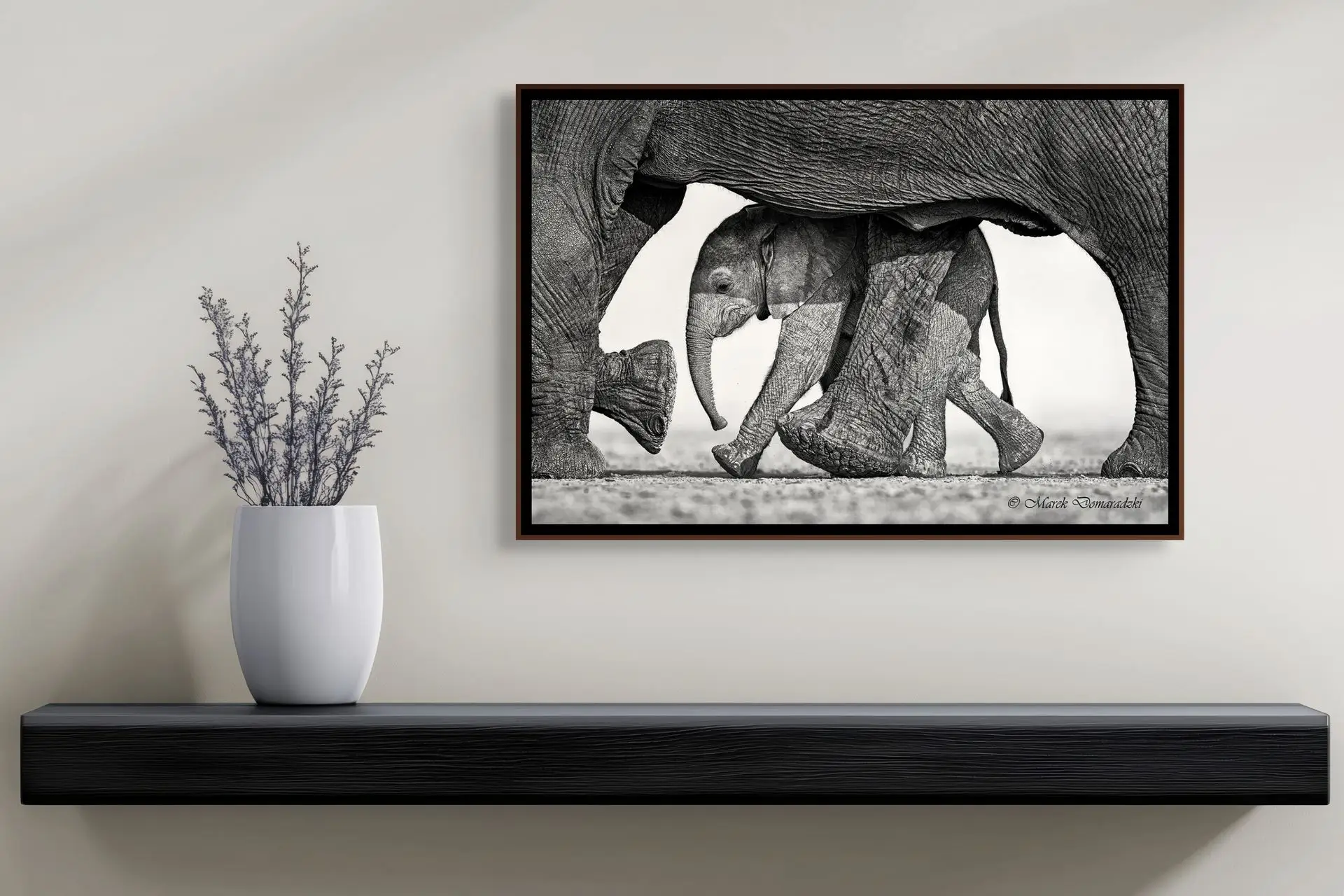 Mother's Shelter - Image 3