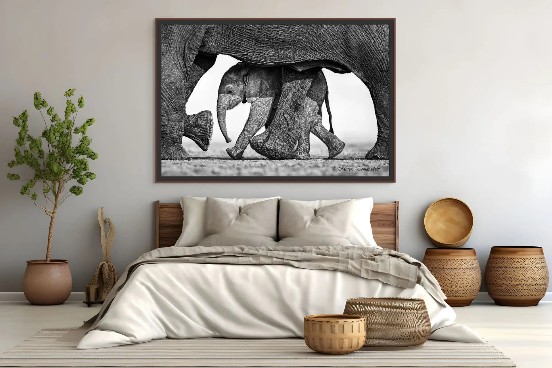 Mother's Shelter - Image 2