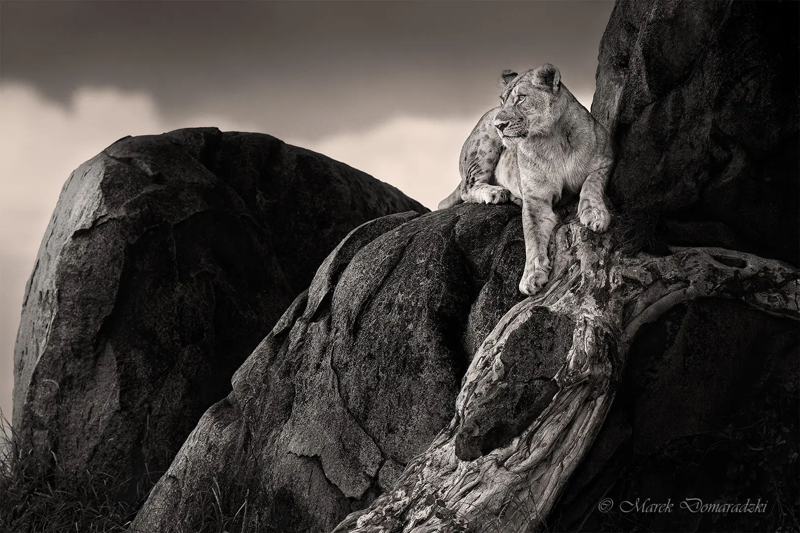 Throne of Stone